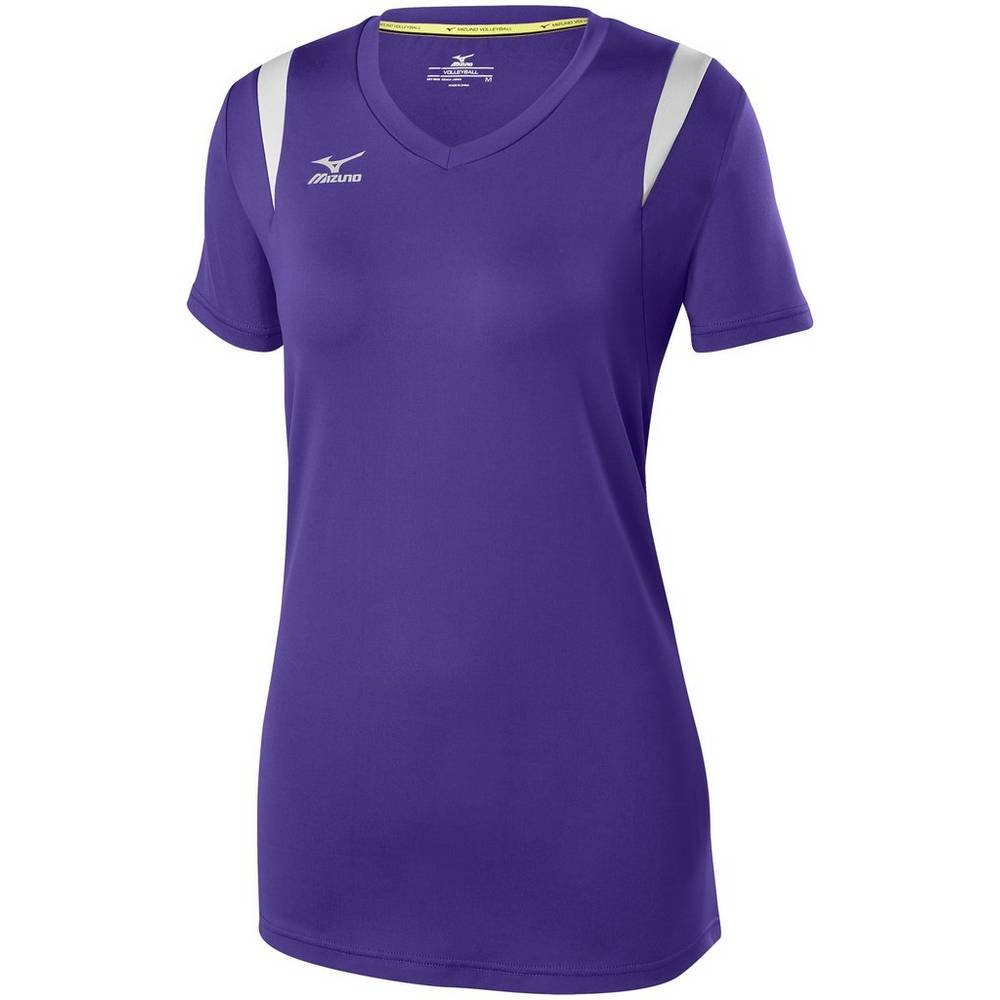 Mizuno Women's Balboa 5.0 Long Sleeve Volleyball Jersey Purple/Silver (440646-CRH)